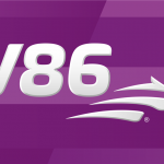 V86 resultat onsdag 16 november 2022 Solvalla/Bjerke